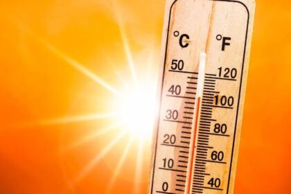 Punjab Heatwave Weather Update