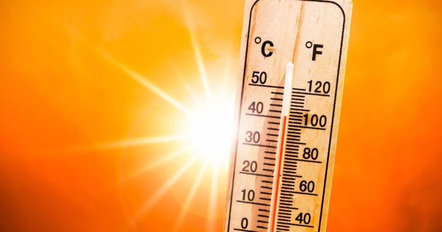 Punjab Heatwave Weather Update