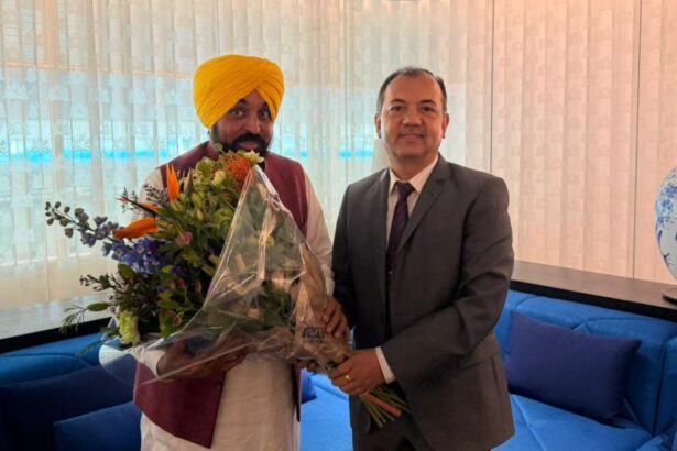 Punjab Netherlands Investment