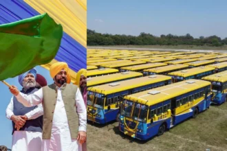 Punjab Public Transport Upgrade