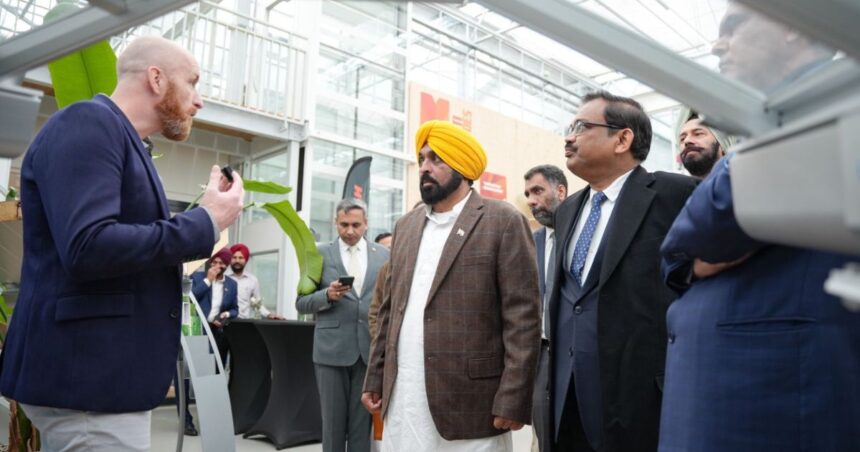 Semiconductor Investment in Punjab