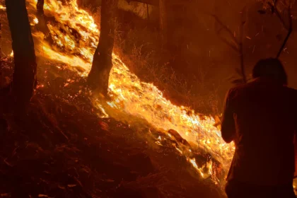 Forest Fire in Pauri