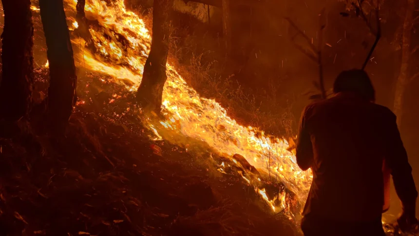 Forest Fire in Pauri