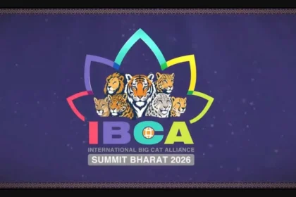 IBCA Summit