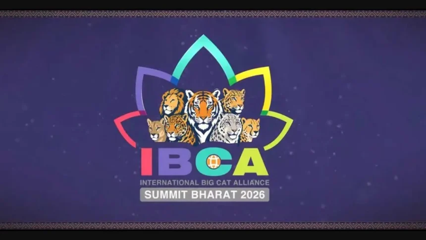 IBCA Summit