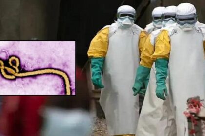 Ebola Alert India