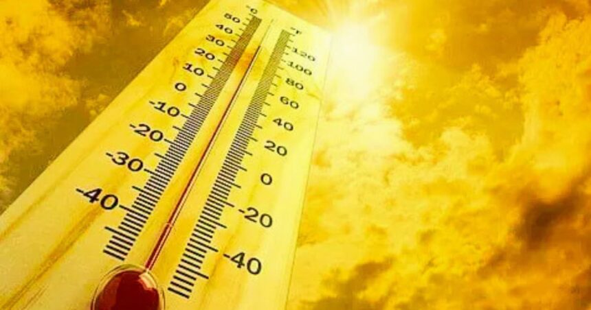 MP Heatwave Alert