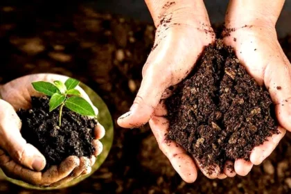 Organic Farming Crisis