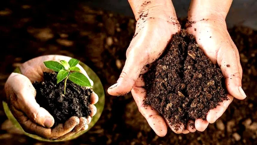 Organic Farming Crisis