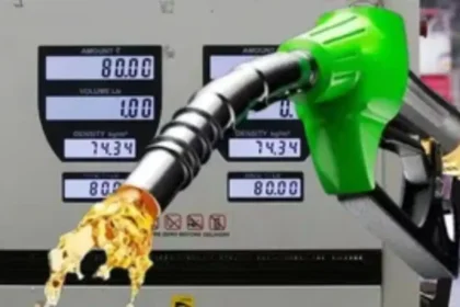 Windfall Tax Policy