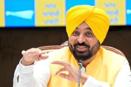 Punjab Civic Elections