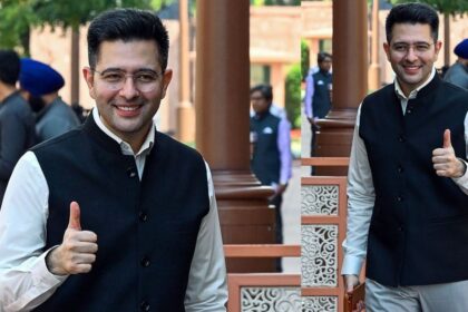 Raghav Chadha Committee Chairman