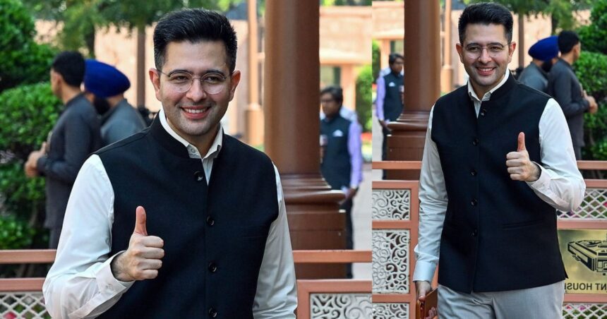 Raghav Chadha Committee Chairman