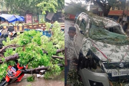 UP Weather Update: Natural disaster wreaks havoc in UP! 111 deaths, 72 injured, and 26 districts devastated by storms in 24 hours.