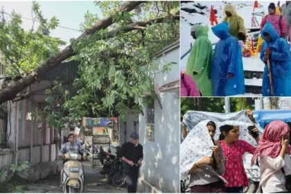 Uttarakhand Weather Update: Forest fire in Uttarakhand hills amid heavy rain and hailstorm weather update in Dehradun, Bageshwar and other districts.