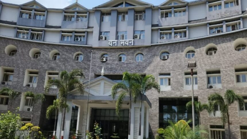 Officials discussing financial management challenges in Forest Department accountant shortage and vacant posts affecting budget monitoring.