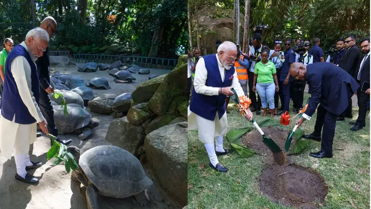 PM Modi's Seychelles Visit: PM Modi's special visit to Seychelles; meeting with a 194-year-old tortoise.