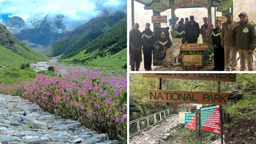 Valley of Flowers National Park: Tourists trekkingin Chamoli Uttarakhand surrounded by Himalayan flowers and mountains