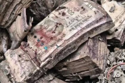 Kolkata College Cash News
