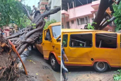 Mumbai School Bus Tree Accident: Rescue teams removing students after a tree fell on a school bus in Chembur, Mumbai.