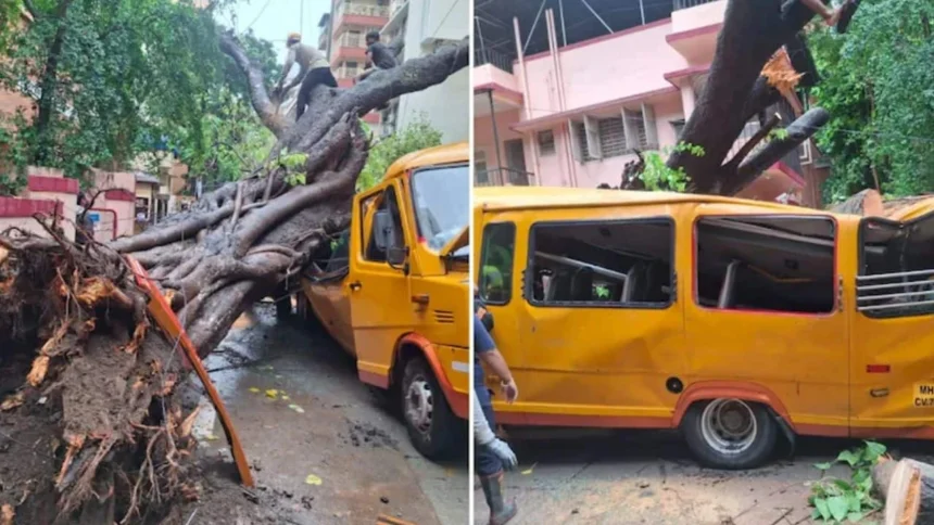 Mumbai School Bus Tree Accident: Rescue teams removing students after a tree fell on a school bus in Chembur, Mumbai.