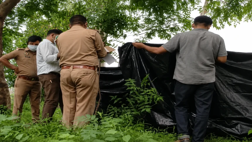 Bareilly News